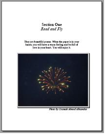 Section One: Poems, 18 MB
